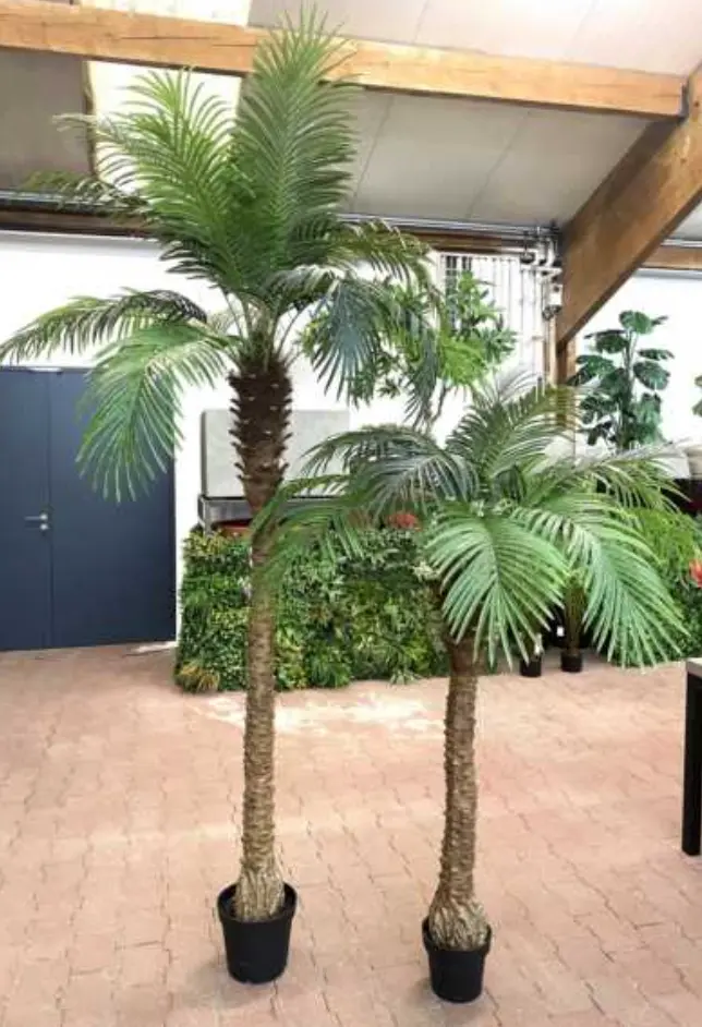 Arbre palmier 170cm 