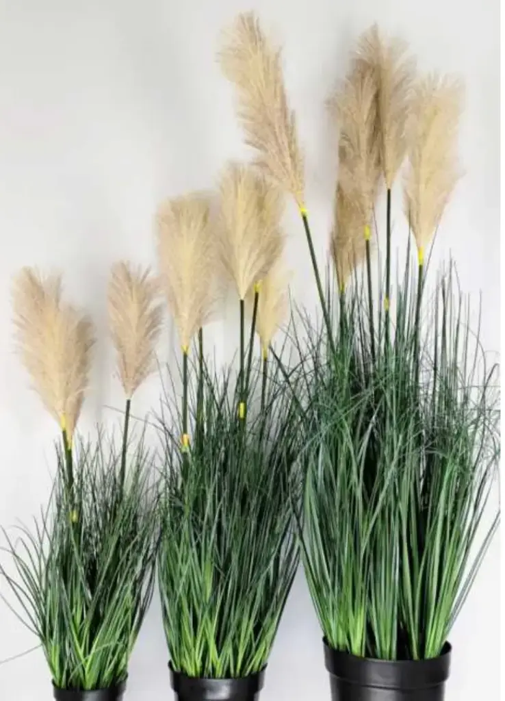 3 pots de pampa 81 cm