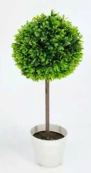 arbre buis boule 50cm