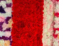 Mûr de fleurs 240x240cm rouge
