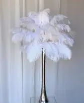 Plume d'autruche
